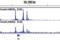 SMAD Family Member 4 antibody, 46535S, Cell Signaling Technology, Chromatin Immunoprecipitation image 