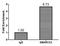 SWI/SNF Related, Matrix Associated, Actin Dependent Regulator Of Chromatin Subfamily C Member 2 antibody, LS-C378925, Lifespan Biosciences, Chromatin Immunoprecipitation image 