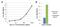Apolipoprotein A1 antibody, GTX15657, GeneTex, Enzyme Linked Immunosorbent Assay image 