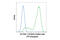 Cancer/Testis Antigen 1B antibody, 65699S, Cell Signaling Technology, Flow Cytometry image 