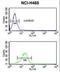 NAD(P)H Quinone Dehydrogenase 1 antibody, LS-C100530, Lifespan Biosciences, Flow Cytometry image 