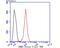 Ribonucleotide Reductase Catalytic Subunit M1 antibody, NBP2-75650, Novus Biologicals, Flow Cytometry image 