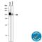 Protein Tyrosine Phosphatase Non-Receptor Type 22 antibody, AF3428, R&D Systems, Western Blot image 