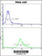 Phosphoglycerate Dehydrogenase antibody, 61-612, ProSci, Immunofluorescence image 