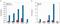 Di-Methyl-Histone H3 antibody, 49-1021, Invitrogen Antibodies, Chromatin Immunoprecipitation image 