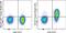 Interleukin 7 Receptor antibody, 62-1278-42, Invitrogen Antibodies, Flow Cytometry image 
