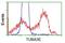 Tubulin Alpha 3e antibody, GTX83466, GeneTex, Flow Cytometry image 