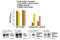 Insulin Receptor Substrate 1 antibody, 7332S, Cell Signaling Technology, Enzyme Linked Immunosorbent Assay image 