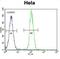 Neurotrophic Receptor Tyrosine Kinase 1 antibody, abx033616, Abbexa, Immunohistochemistry frozen image 