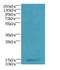 Mitochondrial Ribosomal Protein L51 antibody, LS-C395641, Lifespan Biosciences, Western Blot image 