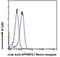 RENR antibody, NB100-1318, Novus Biologicals, Flow Cytometry image 