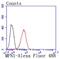 Mitofusin 1 antibody, NBP2-66952, Novus Biologicals, Flow Cytometry image 