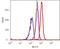 Ribosomal Protein S6 Kinase B2 antibody, 710285, Invitrogen Antibodies, Flow Cytometry image 