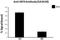 Interferon Regulatory Factor 9 antibody, 660704, BioLegend, Chromatin Immunoprecipitation image 