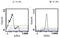 CD3 antibody, CL001PX, Origene, Flow Cytometry image 