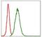 Matrix Metallopeptidase 3 antibody, MA5-17123, Invitrogen Antibodies, Flow Cytometry image 