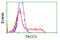 Transforming Acidic Coiled-Coil Containing Protein 3 antibody, LS-C115271, Lifespan Biosciences, Flow Cytometry image 