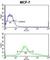 Zyg-11 Family Member A, Cell Cycle Regulator antibody, abx034058, Abbexa, Western Blot image 