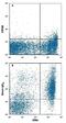 Cytotoxic And Regulatory T Cell Molecule antibody, FAB16951A, R&D Systems, Flow Cytometry image 