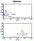 Eukaryotic Translation Initiation Factor 2A antibody, abx034403, Abbexa, Western Blot image 