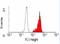 Insulin Like Growth Factor 2 Receptor antibody, NB500-464, Novus Biologicals, Flow Cytometry image 