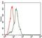 Somatostatin antibody, NBP2-37447, Novus Biologicals, Flow Cytometry image 