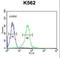 Potassium Voltage-Gated Channel Subfamily J Member 6 antibody, LS-C165435, Lifespan Biosciences, Flow Cytometry image 