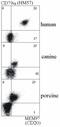 CD7 Molecule antibody, GTX28236, GeneTex, Flow Cytometry image 