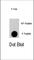 Eukaryotic Translation Initiation Factor 4E antibody, abx031999, Abbexa, Western Blot image 