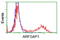 ADP Ribosylation Factor GTPase Activating Protein 1 antibody, LS-C172787, Lifespan Biosciences, Flow Cytometry image 