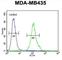 Membrane Spanning 4-Domains A4A antibody, abx025924, Abbexa, Western Blot image 