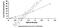 F11 antibody, MBS2023343, MyBioSource, Enzyme Linked Immunosorbent Assay image 