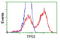 p53 antibody, LS-C173022, Lifespan Biosciences, Flow Cytometry image 