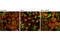 SMAD Family Member 3 antibody, 8685S, Cell Signaling Technology, Immunofluorescence image 