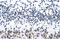 Zinc Finger Protein 266 antibody, 28-361, ProSci, Enzyme Linked Immunosorbent Assay image 