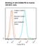 Integrin Subunit Alpha 2 antibody, LS-C134259, Lifespan Biosciences, Flow Cytometry image 