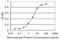 RAD23 Homolog B, Nucleotide Excision Repair Protein antibody, LS-C133936, Lifespan Biosciences, Enzyme Linked Immunosorbent Assay image 