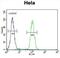 SIK Family Kinase 3 antibody, abx026315, Abbexa, Flow Cytometry image 