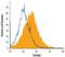 Tetraspanin 8 antibody, MA5-24296, Invitrogen Antibodies, Flow Cytometry image 