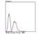 Eukaryotic Translation Initiation Factor 2 Alpha Kinase 4 antibody, NBP2-66865, Novus Biologicals, Flow Cytometry image 