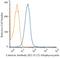 Calnexin antibody, NBP2-36571APC, Novus Biologicals, Flow Cytometry image 