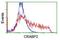 Cellular Retinoic Acid Binding Protein 2 antibody, NBP2-03807, Novus Biologicals, Flow Cytometry image 