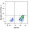 C-X3-C Motif Chemokine Receptor 1 antibody, 341614, BioLegend, Flow Cytometry image 