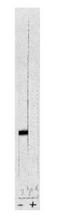 Protein Phosphatase 1 Catalytic Subunit Beta antibody, orb108618, Biorbyt, Western Blot image 