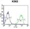 Serine Peptidase Inhibitor, Kazal Type 8 (Putative) antibody, abx026909, Abbexa, Western Blot image 