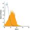 Notch Receptor 2 antibody, FAB37351A, R&D Systems, Flow Cytometry image 