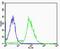 GADD45G Interacting Protein 1 antibody, PA5-49337, Invitrogen Antibodies, Flow Cytometry image 