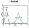 Pleckstrin Homology, MyTH4 And FERM Domain Containing H2 antibody, LS-C163749, Lifespan Biosciences, Flow Cytometry image 