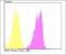 Glutathione Peroxidase 4 antibody, NBP2-76933, Novus Biologicals, Flow Cytometry image 