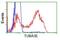 Tubulin Alpha 3e antibody, GTX83465, GeneTex, Flow Cytometry image 